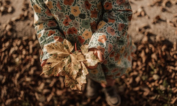 Kleines Kind hält ein Blatt in der Hand
