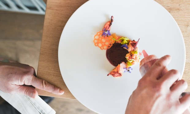 Gourmetgericht vom Artifex mit Fisch.