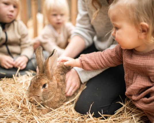 Kinder besuchen die Kaninchen im Streichelzoo.