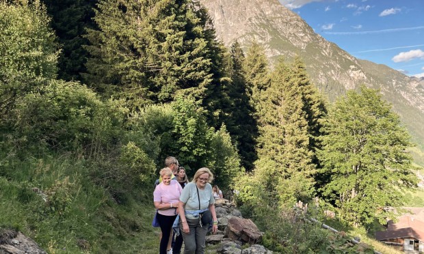 Employees hiking