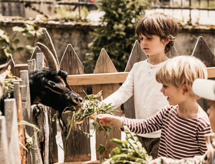 Zwei kleine Jungs füttern die Ziegen im Streichelzoo im Bauernhof Luxusurlaub.