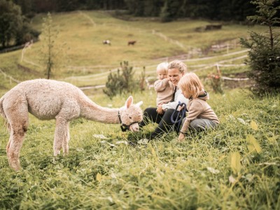 Due bambini e la madre seduti su un prato alpino con un alpaca