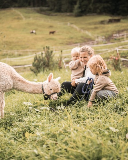 2 Kinder und Mutter sitzen in einer Almwiese mit einem Alpaka