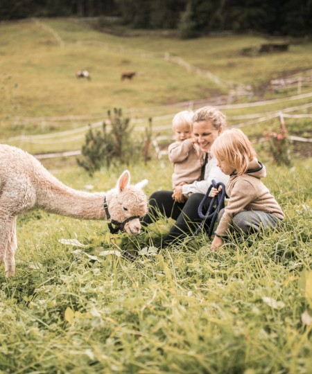 Due bambini e la madre seduti su un prato alpino con un alpaca