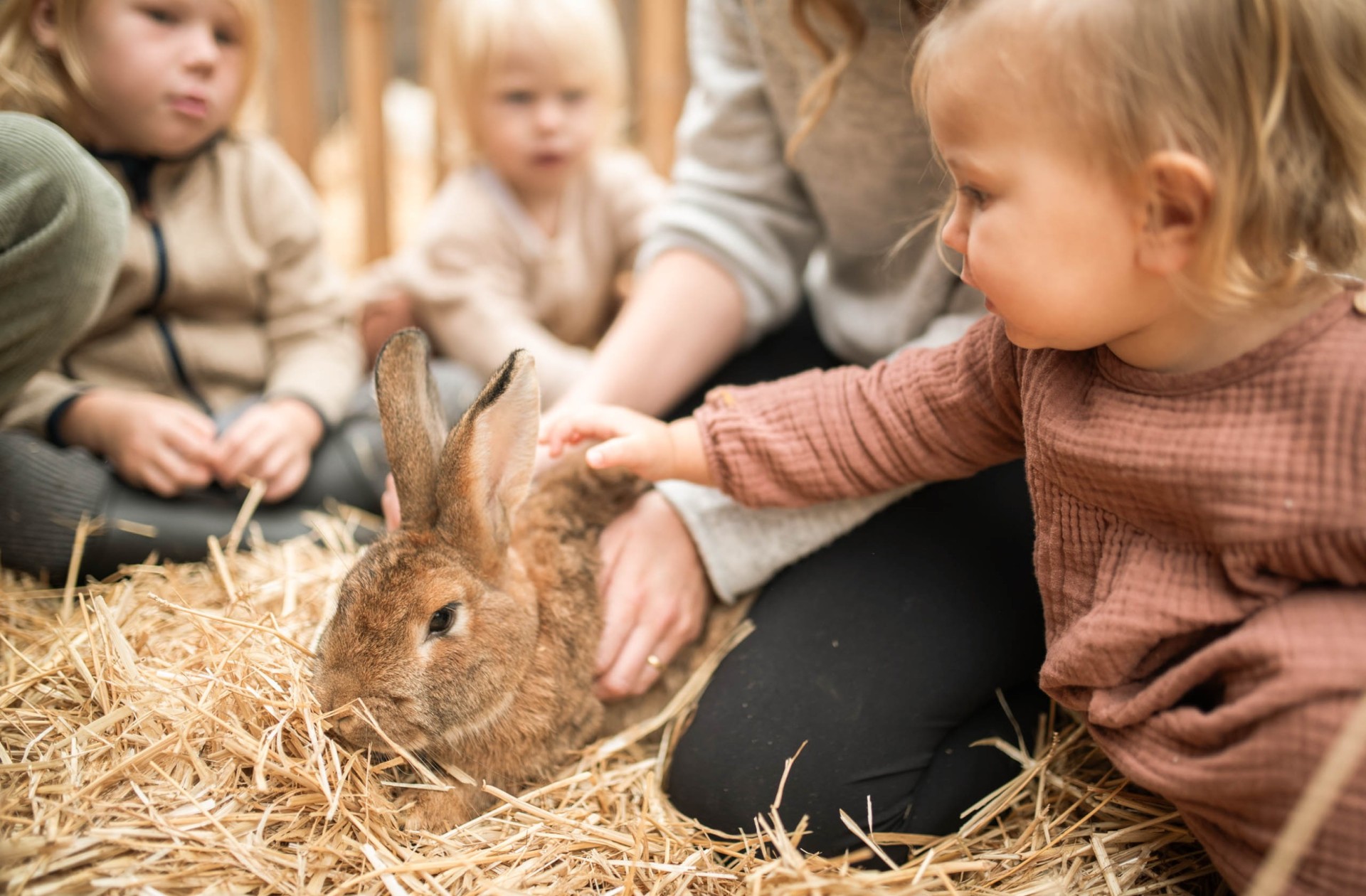 Kleines Mädchen streichelt einen Hasen