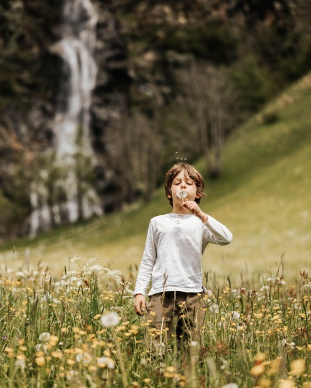 Child in the meadow int the nature with a flower in his hand