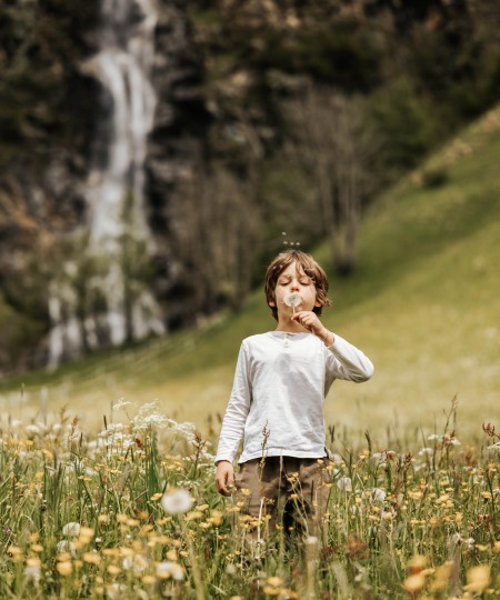 Kind auf der Wiese in der Natur mit einer Pusteblume