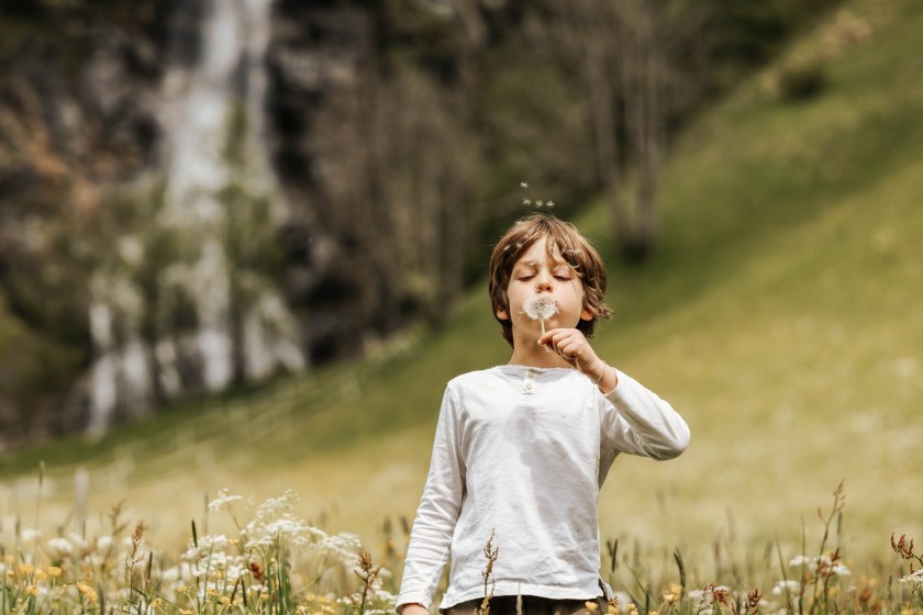 Bimbo al prato in mezzo alla natura con un fiore in mano
