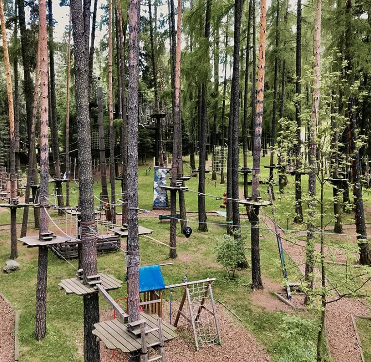 Parco avventura sugli alberi con piattaforme e ponti sospesi nella foresta