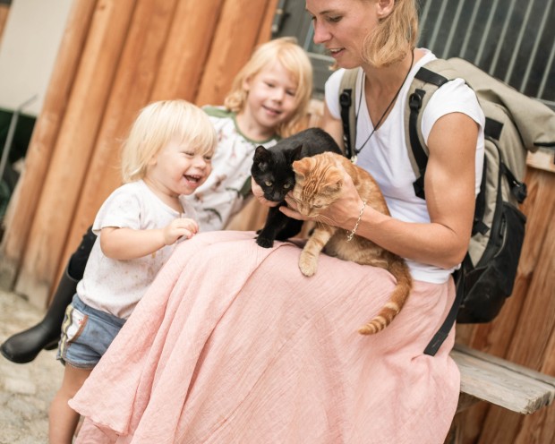 Cats at the Feuerstein Farm at the family hotel Feuerstein in South Tyrol