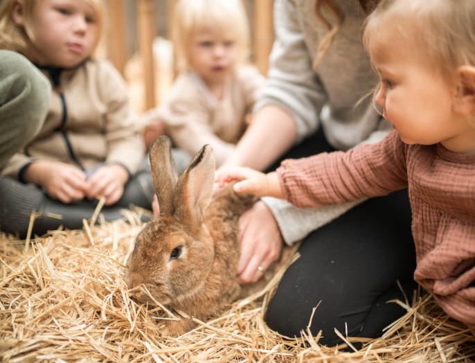 Kinder streicheln Hase auf der Feuerstein Farm im Familienhotel Feuerstein in Südtirol