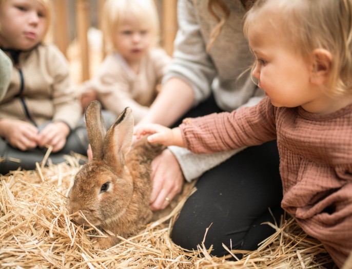 Coniglio accarezzato alla Feuerstein Farm presso il family hotel Feuerstein in Alto Adige
