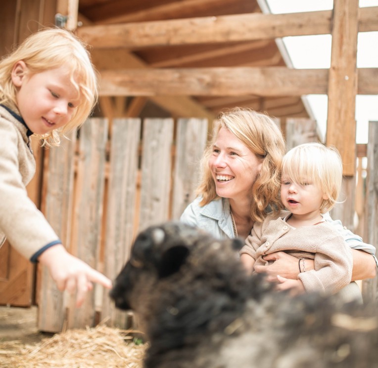 Family with sheep at the Feuerstein Farm at the family hotel Feuerstein in South Tyrol