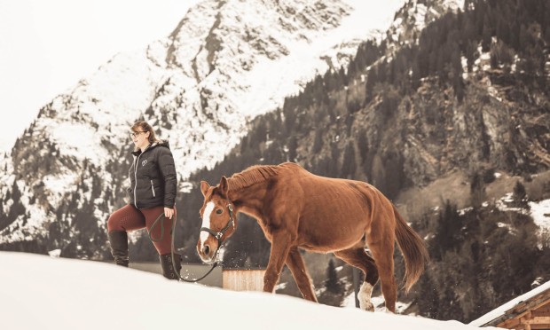 Dipendente che conduce un cavallo marrone sulla neve ai piedi delle montagne presso il Feuerstein.