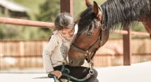 Horse being pet by a young children
