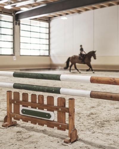 Reitlehrerin und Pferd reiten im Stall