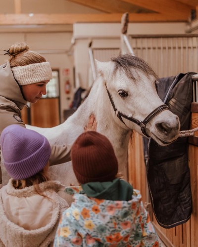 Reitlehrerin und zwei Kinder stehen neben ein junges Pferd, angehängt beim Stall