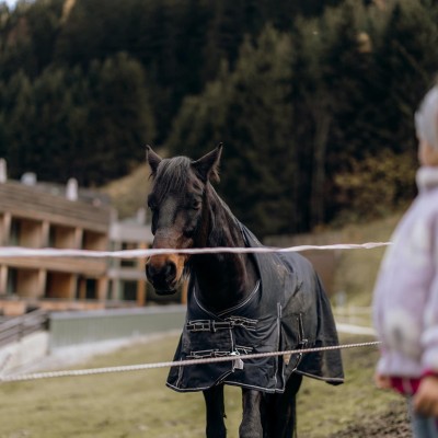 Cavallo recintato in un prato dietro l'hotel e bambino piccolo davanti alla recinzione
