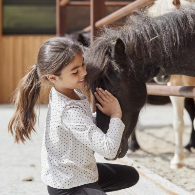 Una testa di cavallo viene accarezzata da un bambino