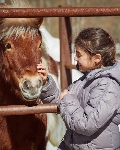 Una capra nella stalla viene nutrita da una persona