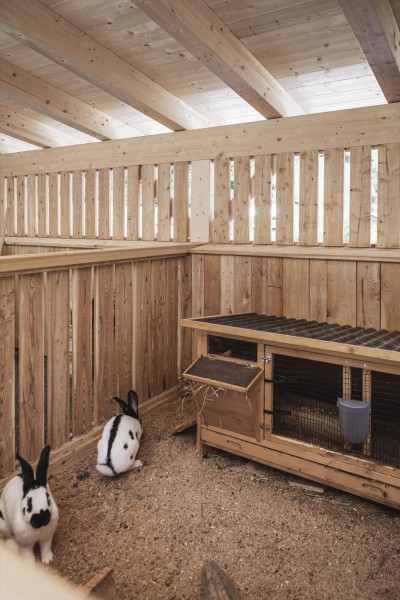 2 conigli nel recinto