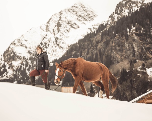 Cavallo con persona durante una passeggiata