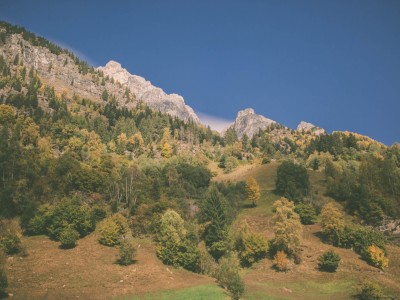 Versante montuoso con alberi e prati nella Val di Fleres