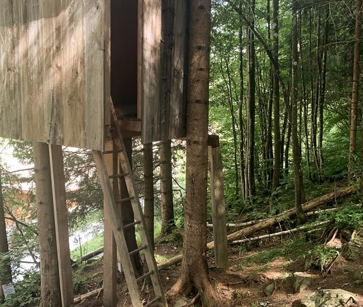 Casa sull'albero nel bosco