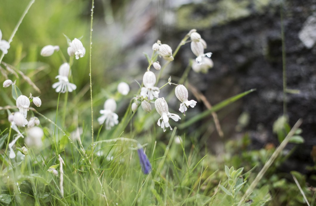 La natura gioca un ruolo importante nel Feuerstein, il nostro Family Hotel con spa in Alto Adige