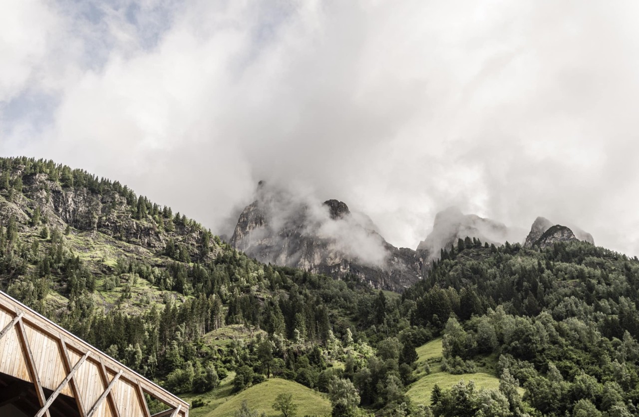 Berggipfel in Wolken bedeckt und weiter unten ein offener Wald