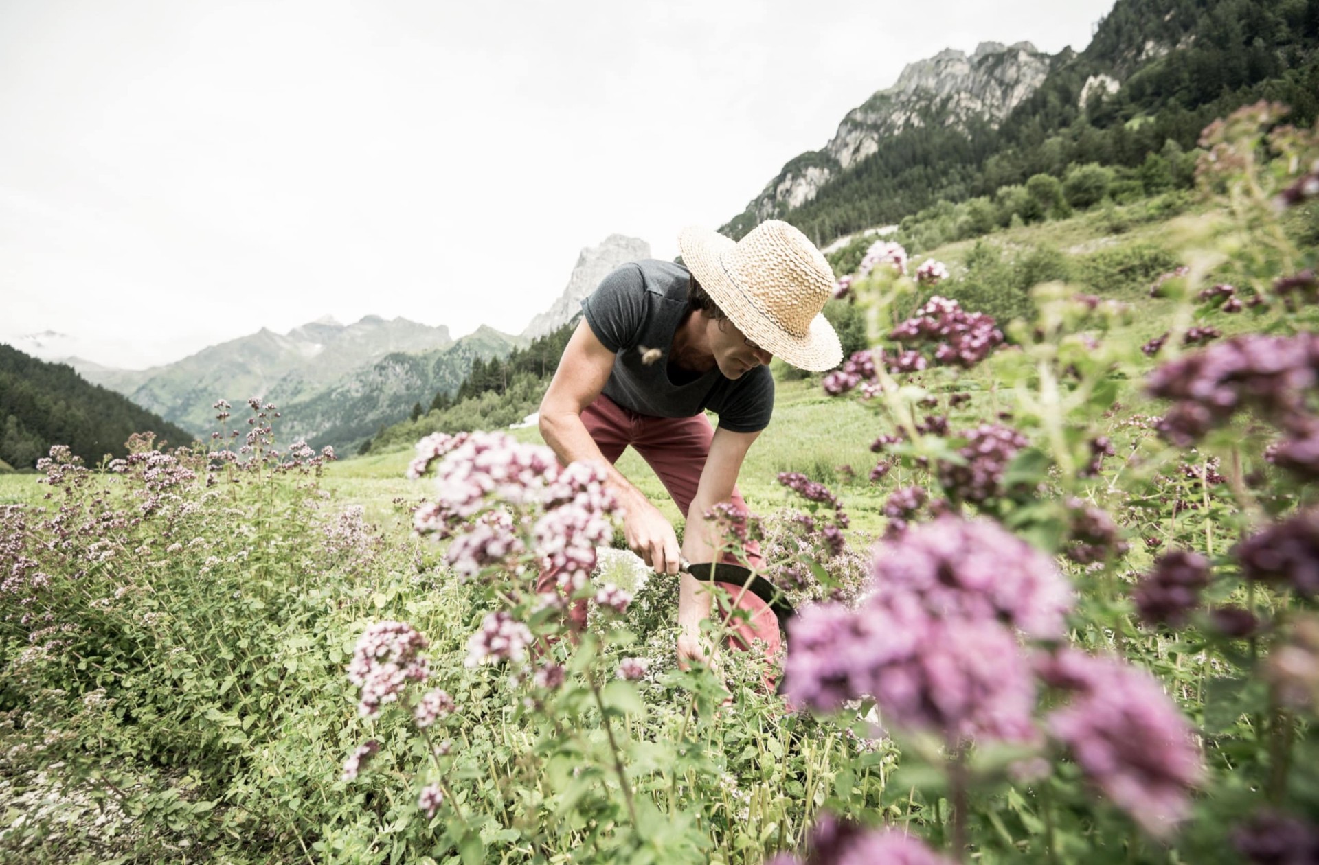 At the Feuerstein family hotel we work together with regional partners: Wipptal herb garden