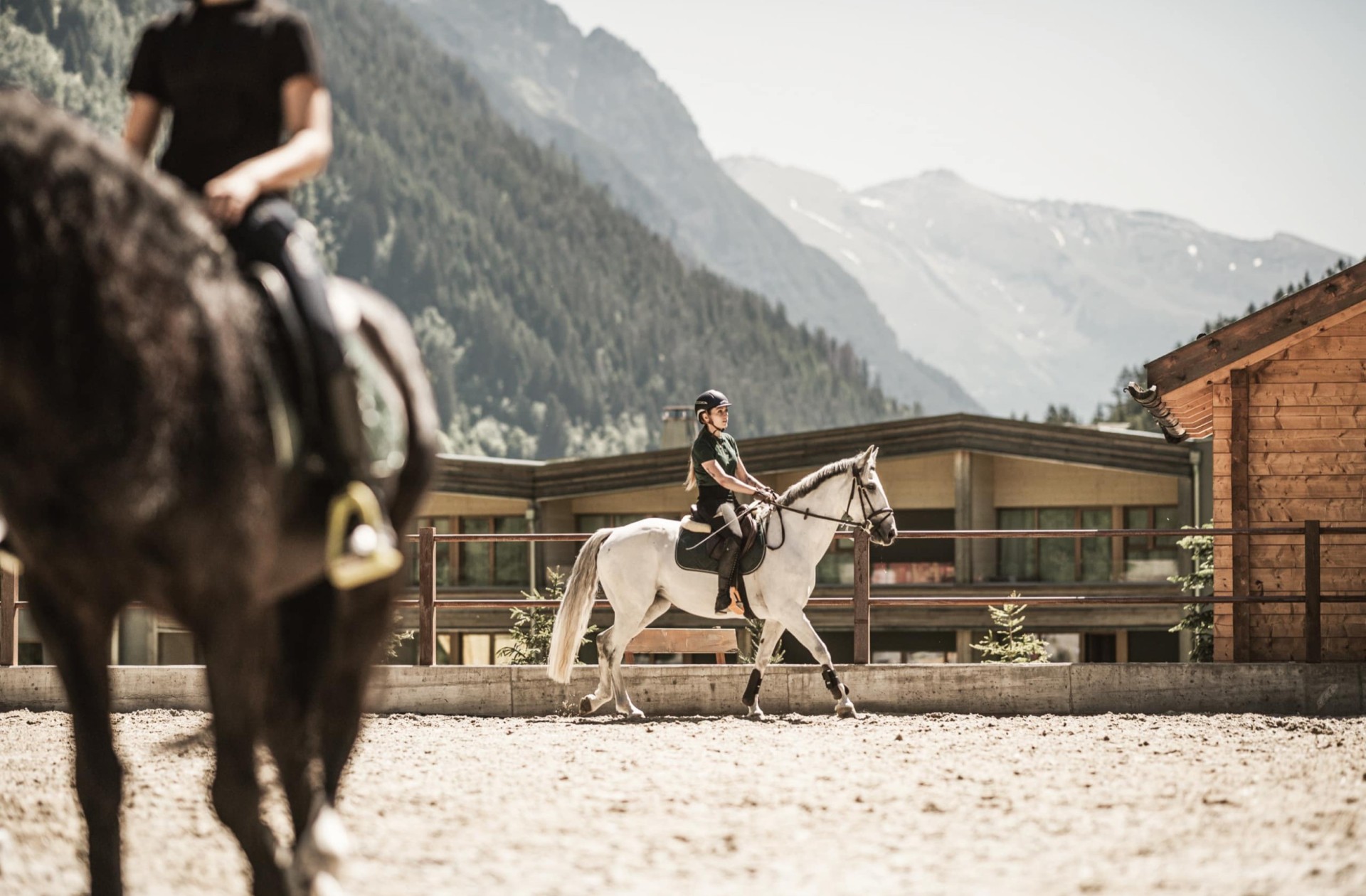 Vacanze a cavallo al Feuerstein, il nostro hotel con maneggio e spa in Alto Adige