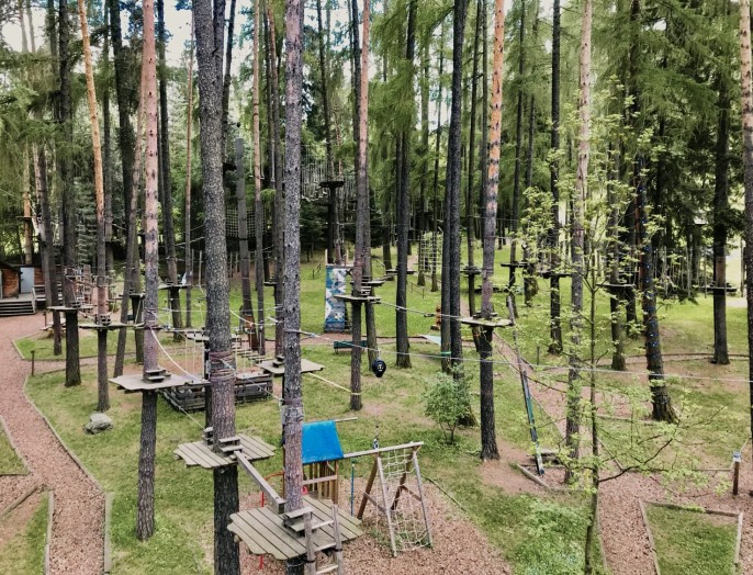 Percorso avventura sugli alberi con piattaforme e ponti sospesi