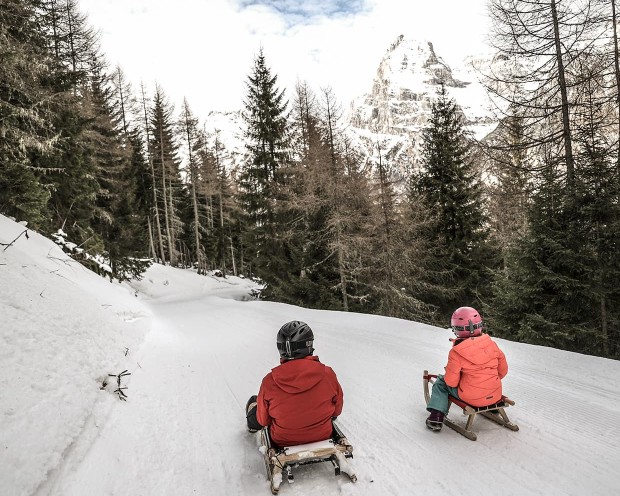 Tobogganing near the Feuerstein family hotel, the ideal place for a family holiday in the mountains