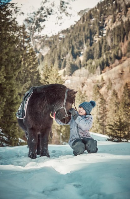 Riding holidays at the Feuerstein family hotel, the ideal place for a family holiday in the mountains